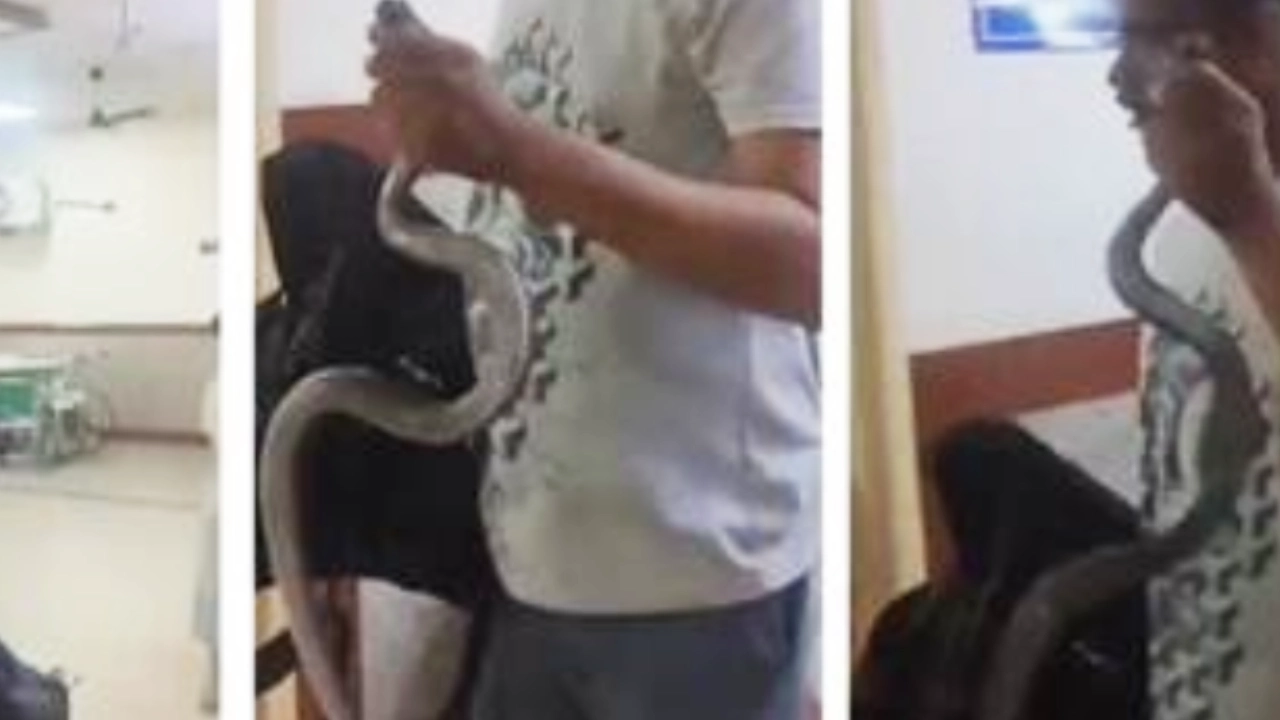 jaipur-man-carries-snake-to-hospital-viral-news