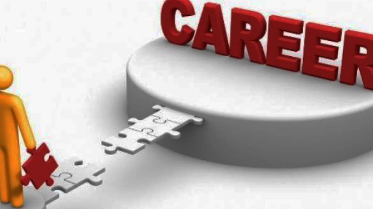 career-success-questions-professional-formula-story-of-z
